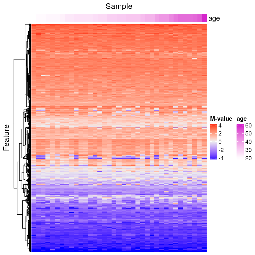Heatmap of methylation values across all features. Samples are ordered according to age.